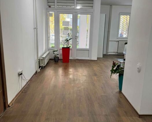 Се продава СТАН во Аеродром – РЕТКА ПОНУДА!  Прекрасен, комплетно реновиран дом со огромен двор и тераса!