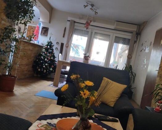 SE PRODAVA STAN od 100m2 + podrum + 1/8 sopstvenost od zemjisteto pod i okolu zgrada,kaj park Avionce