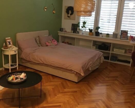 СЕ ПРОДАВА ПРОСТРАН И ЦЕЛОСНО РЕНОВИРАН СТАН ВО ЦЕНТАР – 114 М²!