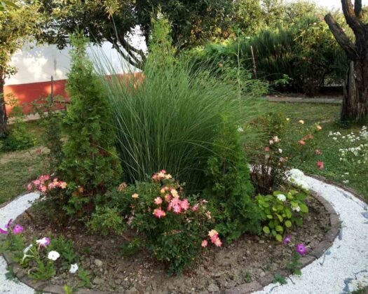 🏡✨ ЕКСКЛУЗИВНА ПОНУДА – СЕ ПРОДАВА КУЌА ВО ВОЛКОВО ✨🏡